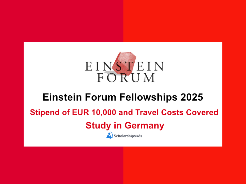 Einstein Forum Fellowships 2025 in Germany