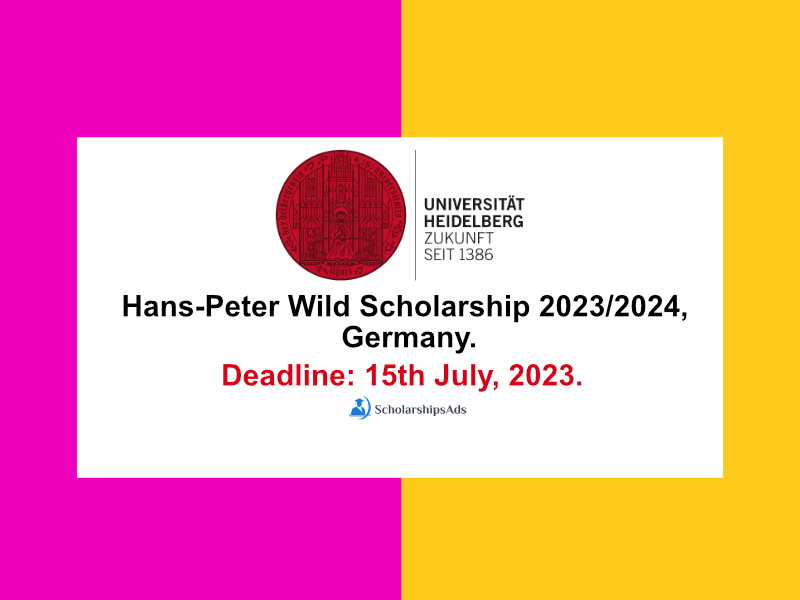 Hans-Peter Wild Scholarship 2023/2024, University of Heidelberg, Germany.
