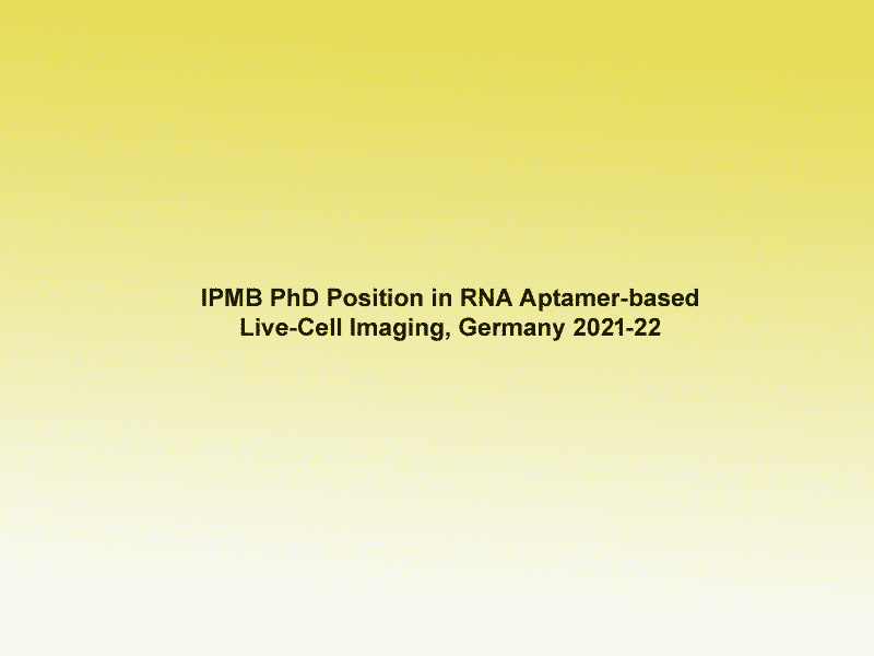 IPMB PhD Position in RNA Aptamer-based Live-Cell Imaging, Germany 2021-22