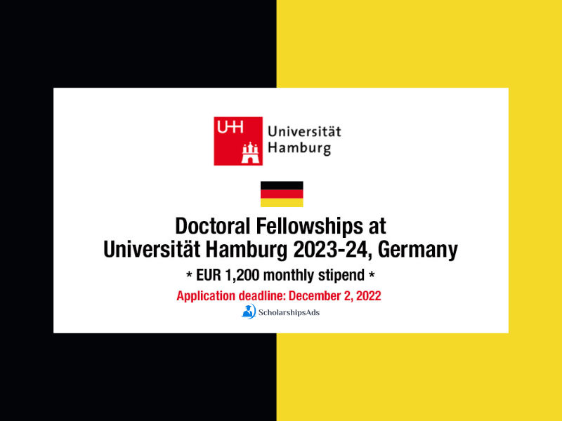 University of Hamburg PhD fully funded Scholarship in Germany 2023