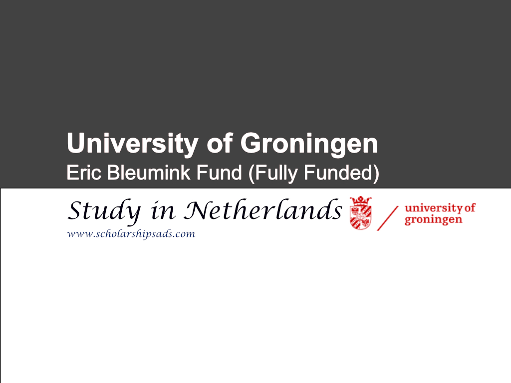 University of Groningen Eric Bleumink Fund News 2024, Netherlands. (Fully-Funded)