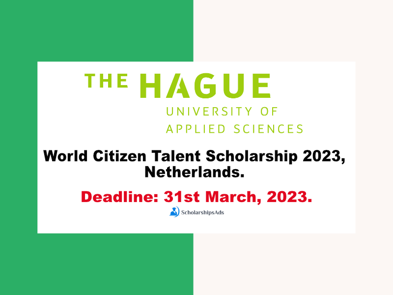  World Citizen Talent Scholarships. 