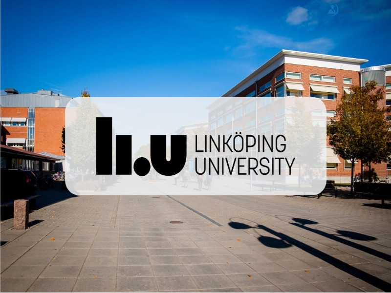 Postdoctoral Scholarship in Soft and Stretchable Neural Probes at Linköping University, Sweden 2022