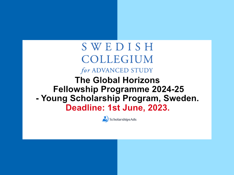 The Global Horizons Fellowship Programme  2024-25 - Young Scholarship Program, Sweden.