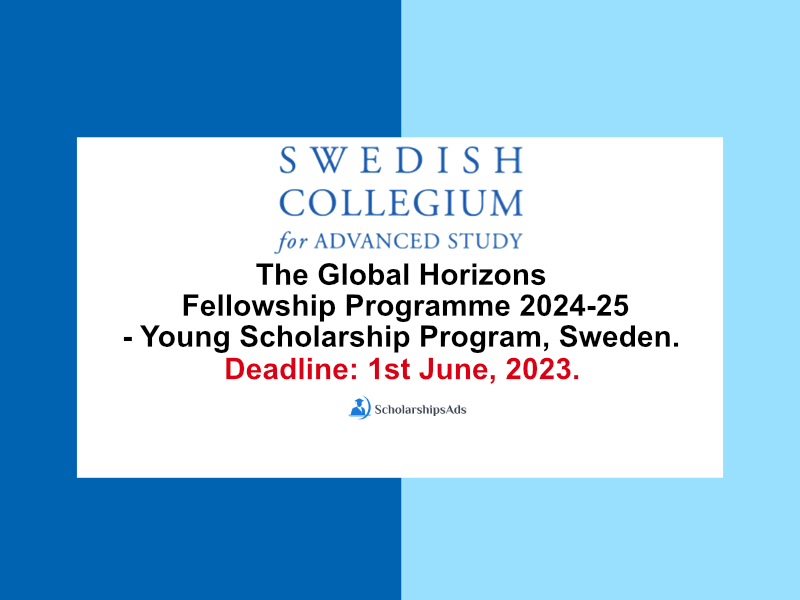  The Global Horizons Fellowship Programme  2024-25 - Young Scholarships. 