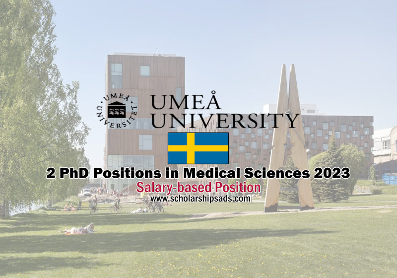 Umea Universitet Sweden Scholarships.