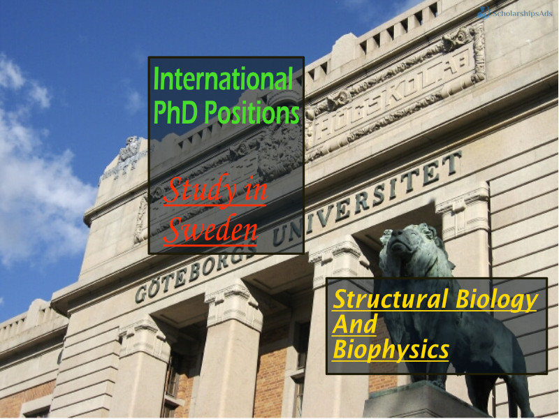 University of Gothenburg International PhD Positions in Structural Biology/Biophysics, Sweden 2022