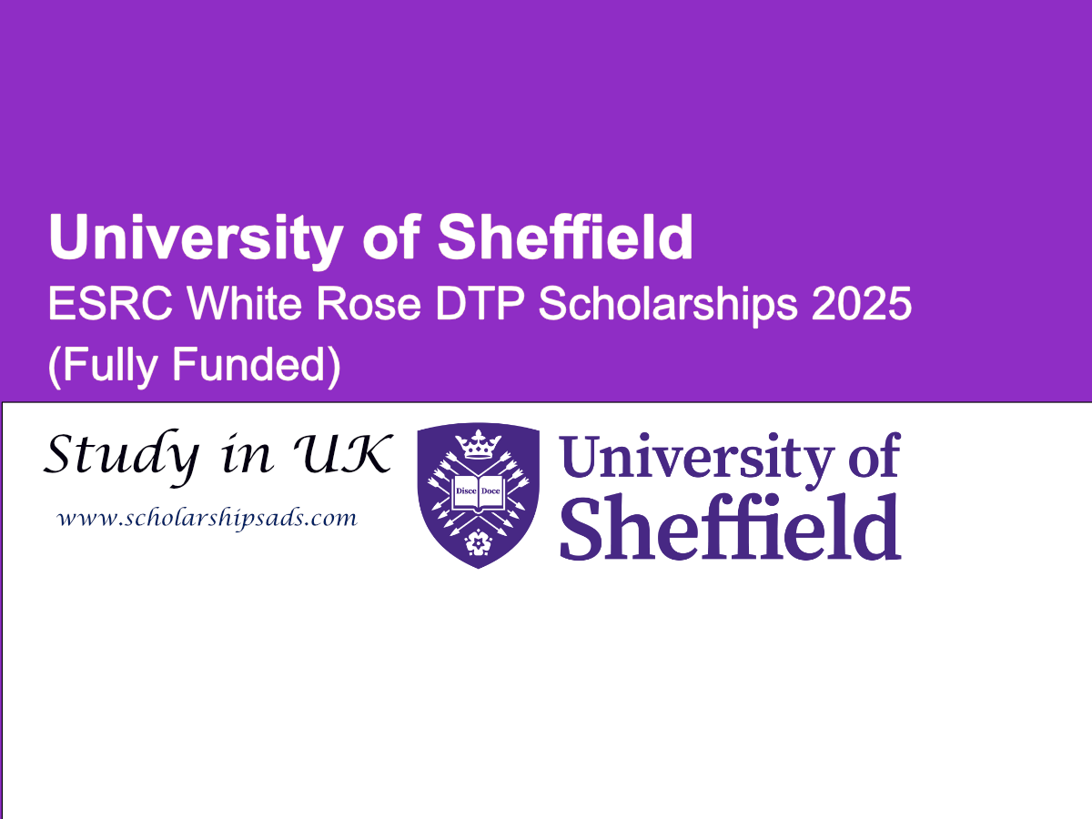 University of Sheffield UK ESRC White Rose DTP Scholarships 2025 (Fully Funded)