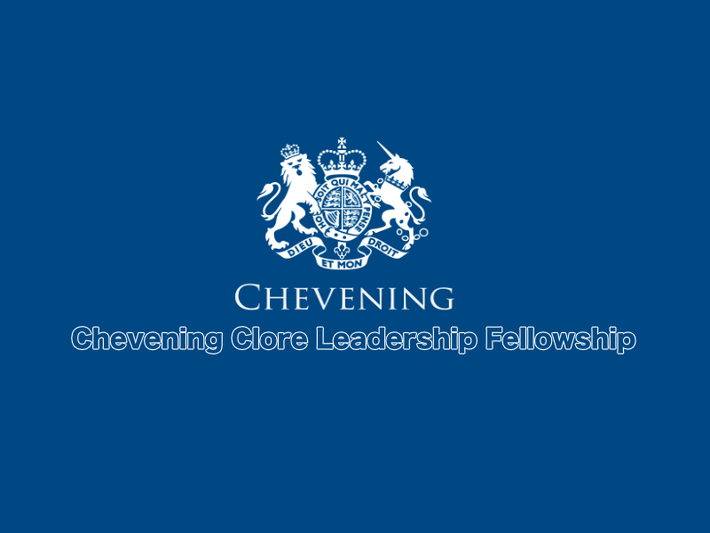 Chevening Clore Leadership Fellowship 2023