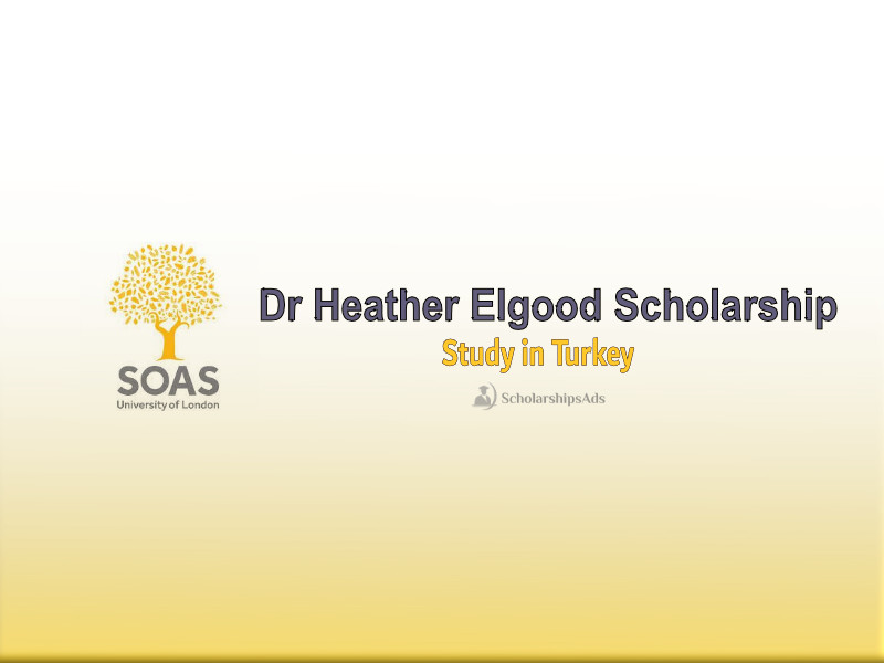 Dr Heather Elgood Scholarships.