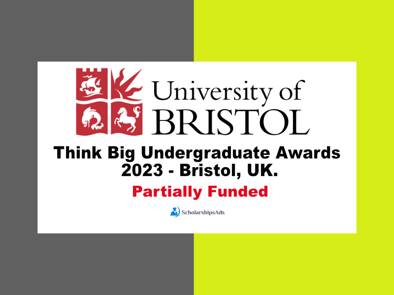 Think Big Undergraduate Awards 2023