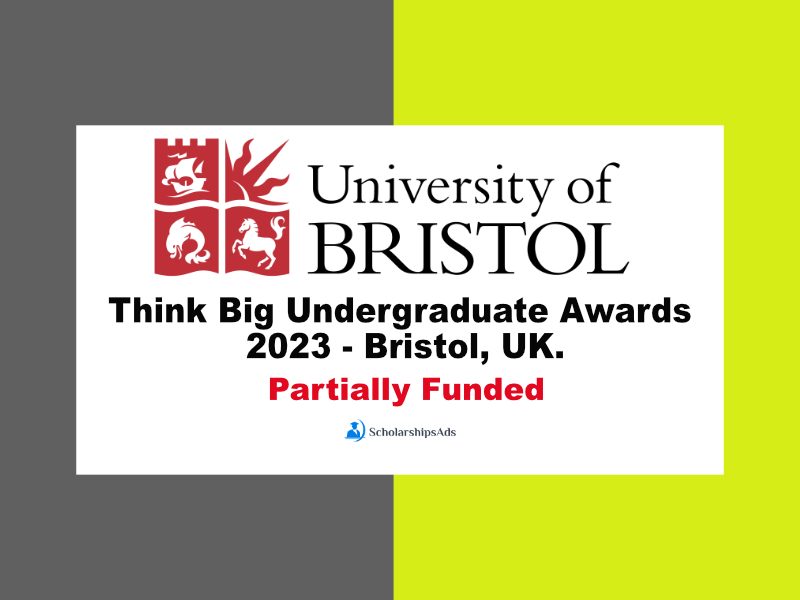  Think Big Undergraduate Awards 2023 