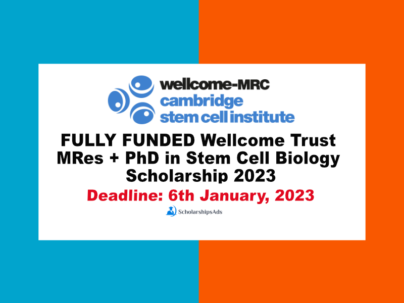  Wellcome Trust MRes + PhD in Stem Cell Biology Scholarships. 