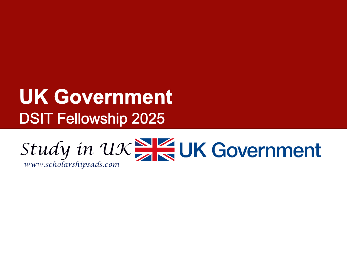 UK Government DSIT Fellowship 2025