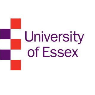 Global Partner funding at University of Essex, 2020-21