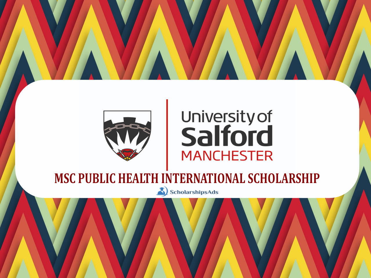 MSC PUBLIC HEALTH INTERNATIONAL Scholarships.