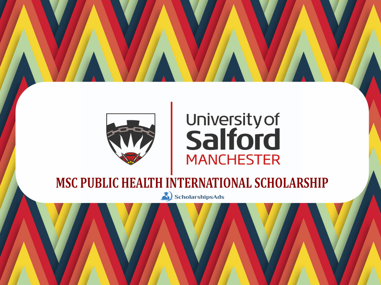  MSC PUBLIC HEALTH INTERNATIONAL Scholarships. 