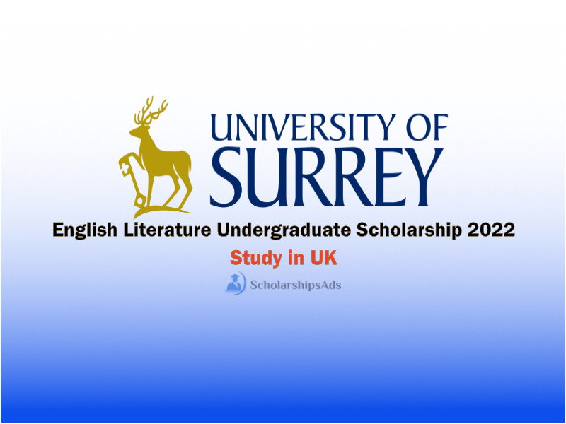 English Literature Undergraduate Scholarship 2022