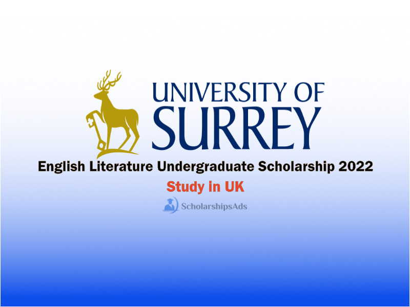  English Literature Undergraduate Scholarships. 