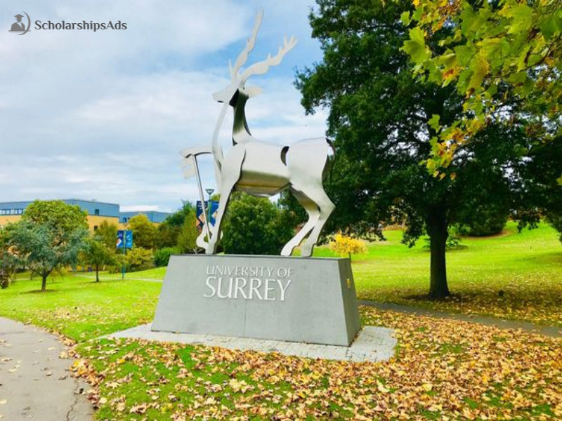  University of Surrey ICE International Scholarships. 