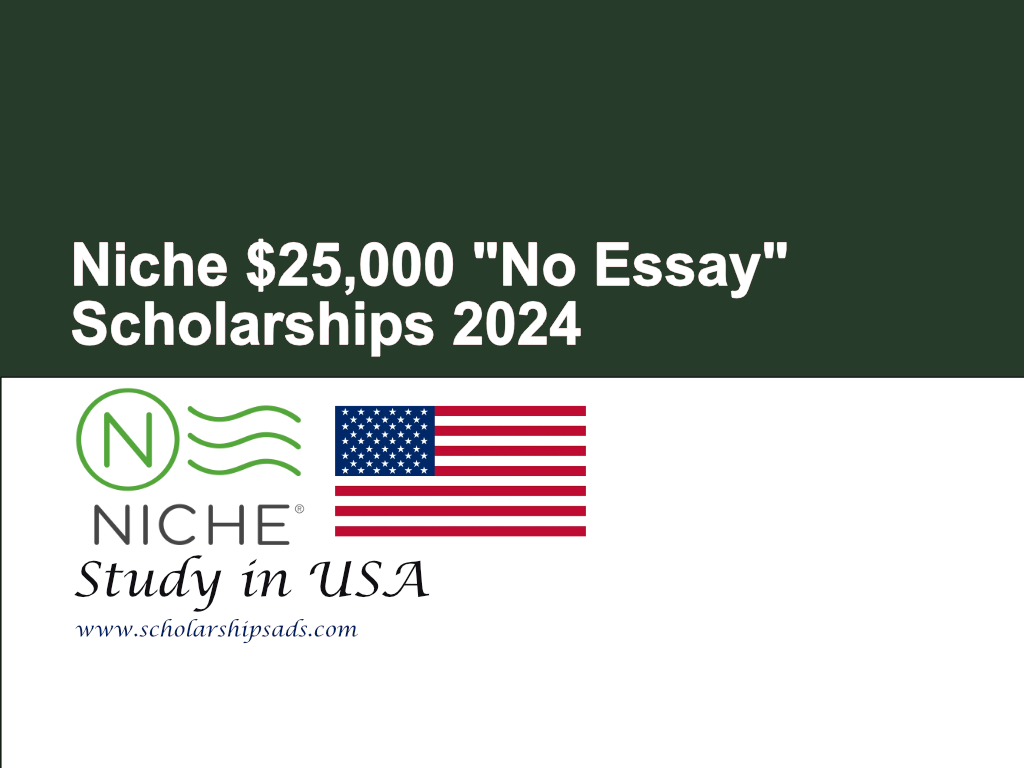 Niche $25,000 No Essay Scholarships.