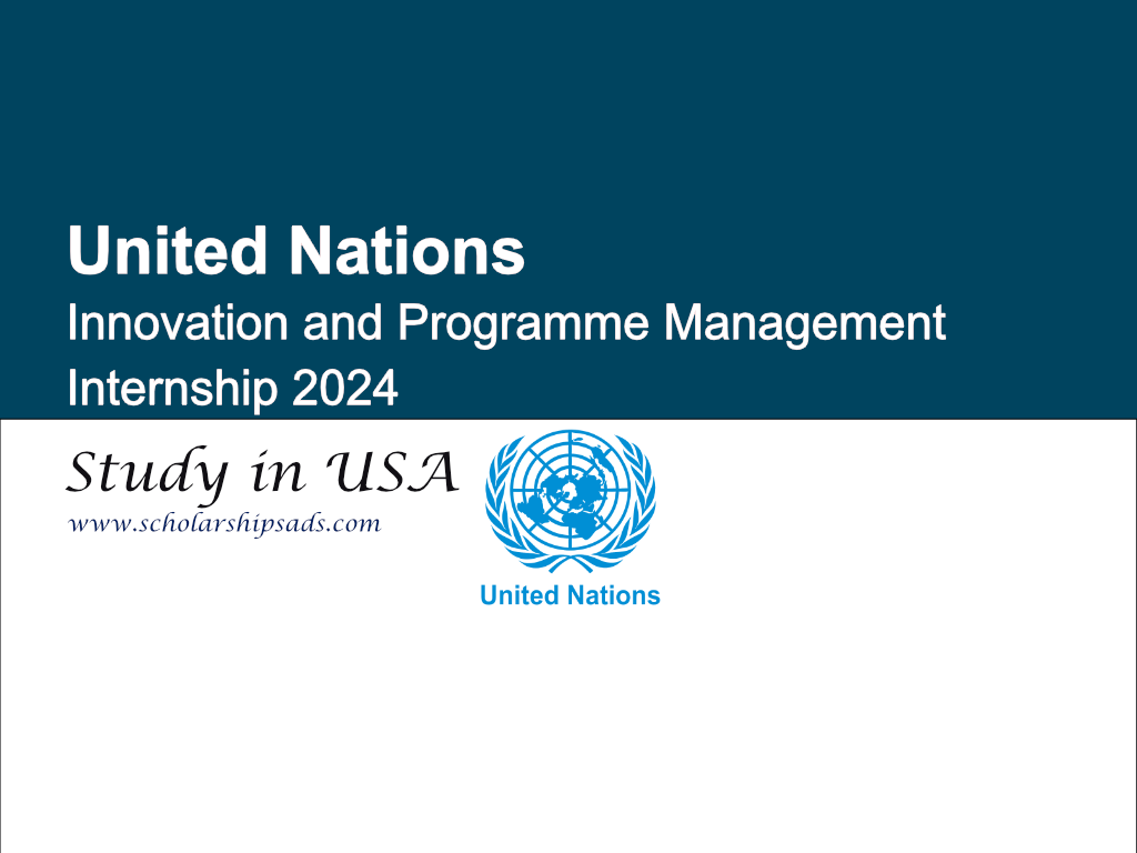 United Nations USA Innovation and Programme Management Internship 2024
