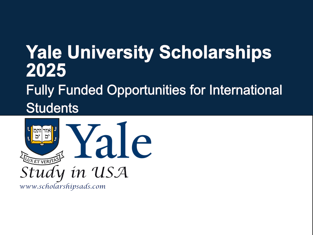 Scholarship Programs For International Students in USA