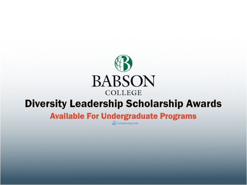 Diversity Leadership Awards at Babson College, USA