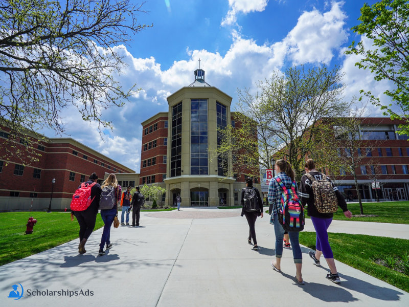  Benedictine University USA International Scholarships. 