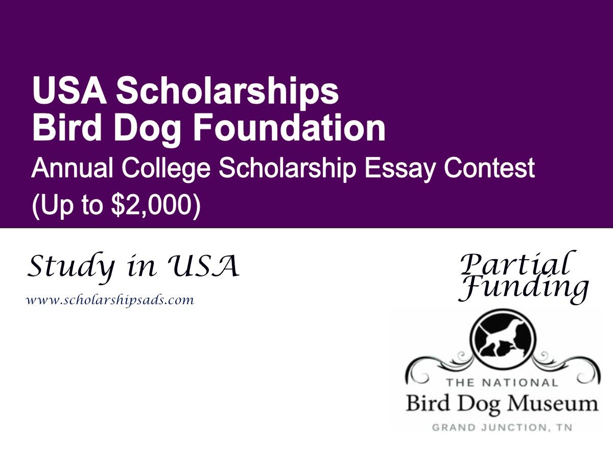 Bird Dog Foundation Annual College Scholarship Essay Contest, USA (Up to $2,000)