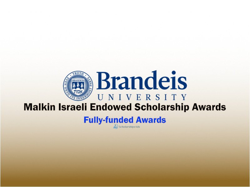 Malkin Israeli Endowed Scholarship at Brandeis University, USA 2022-23