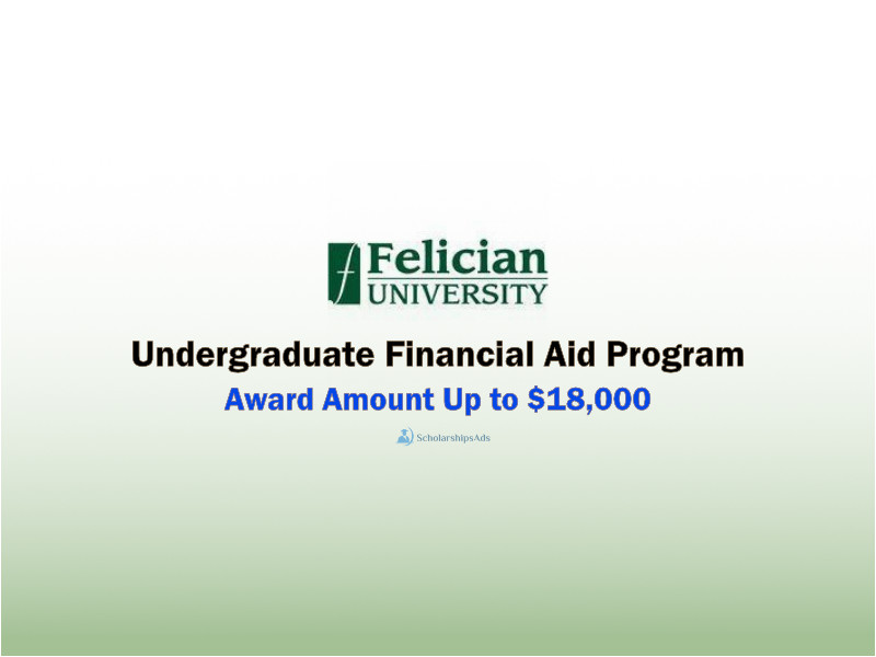 Undergraduate Financial Aid Program at Felician University