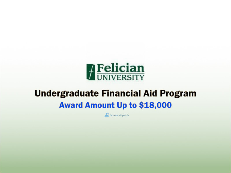  Undergraduate Financial Aid Program at Felician University 