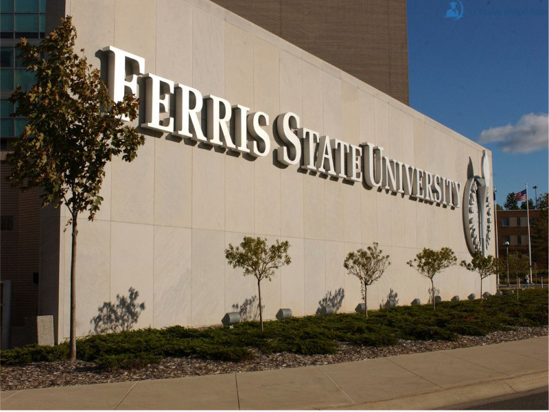 Ferris State University Gold Scholarships.
