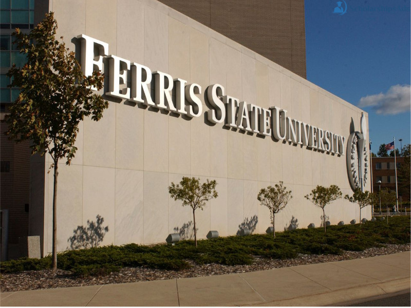  Ferris State University Gold Scholarships. 