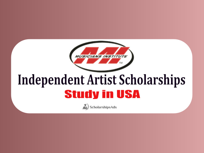  Independent Artist Scholarships. 