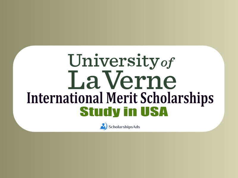 International Merit Scholarships.