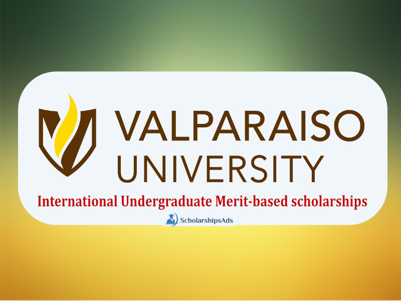  International Undergraduate Merit-based Scholarships. 