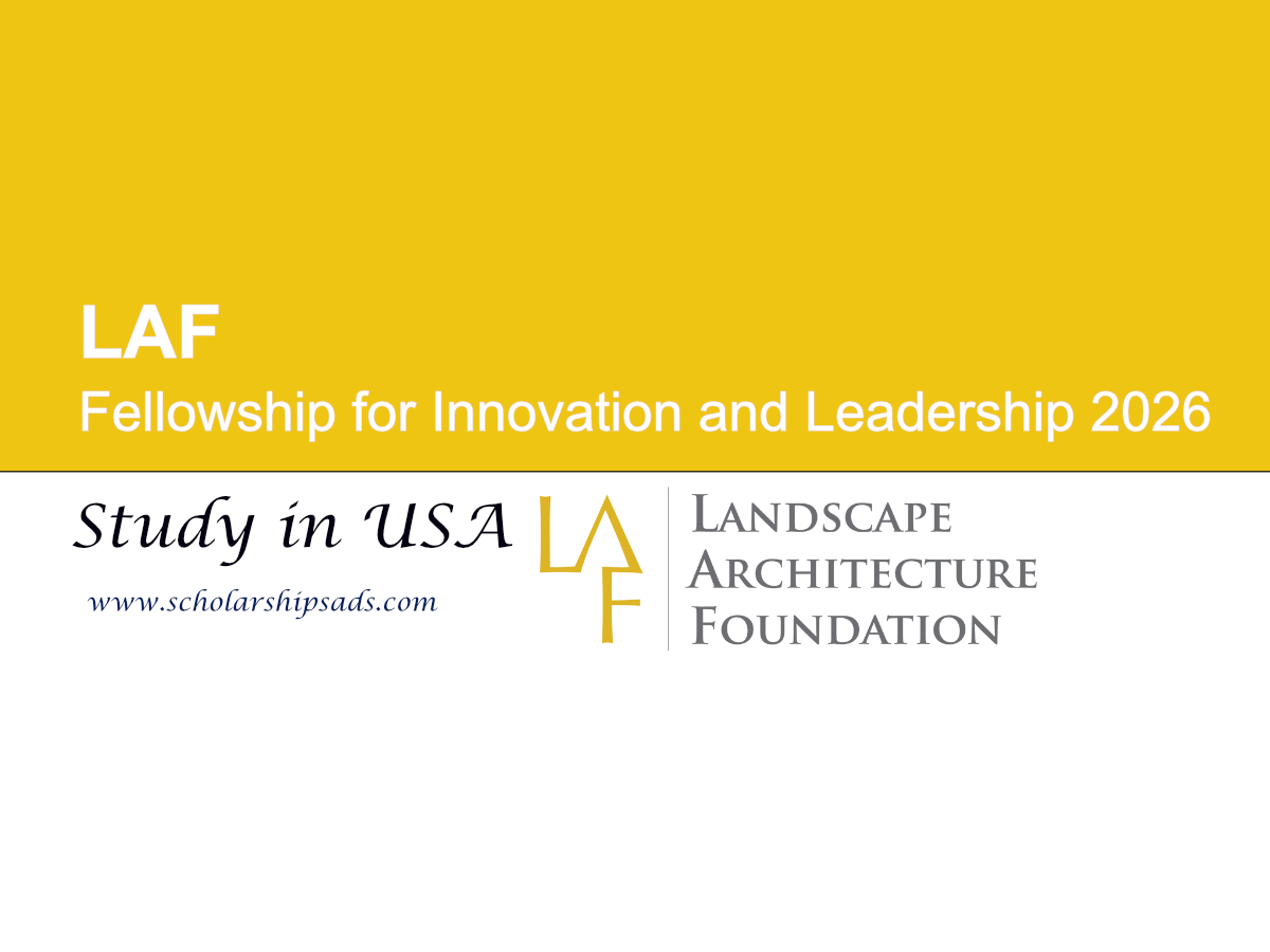 LAF USA Fellowship for Innovation and Leadership 2026