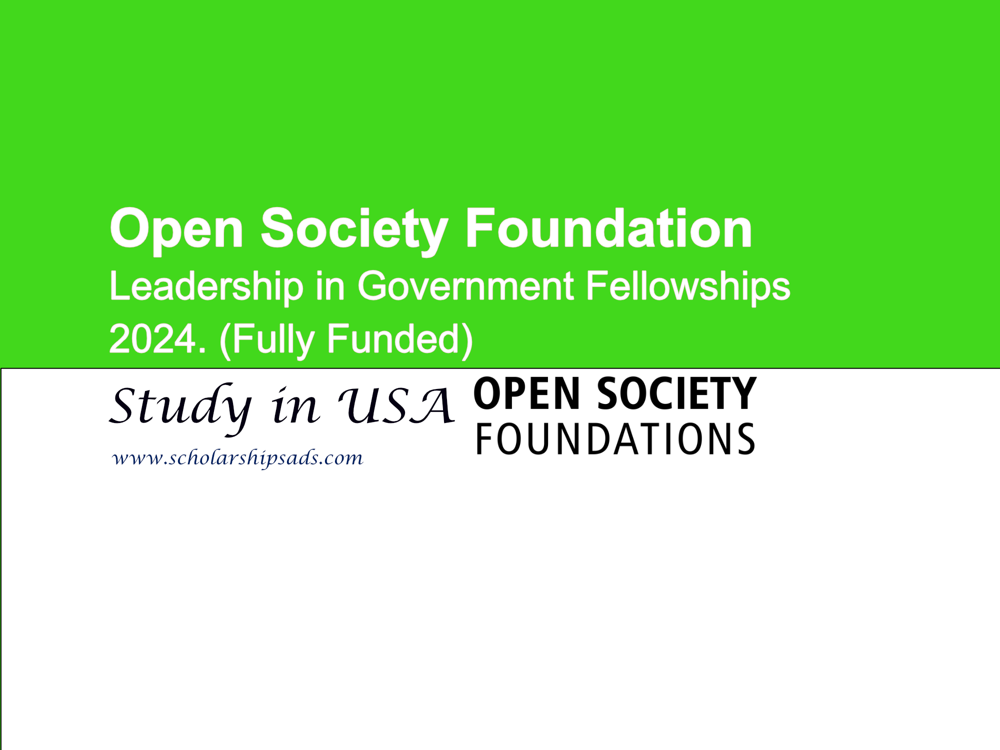 Opportunity at Open Society: Leadership in Government Fellowships 2024. (Fully Funded)