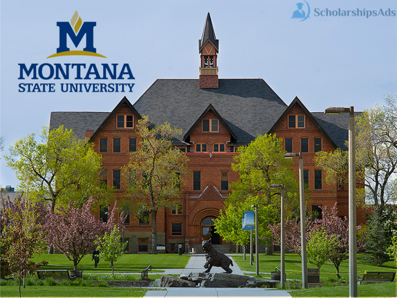 International Undergraduate Merit-Based Scholarship at Montana State University, USA 2021-22