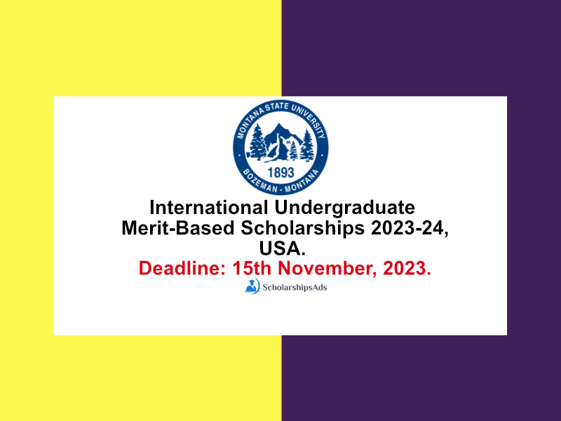 International Undergraduate Merit-Based Scholarships.
