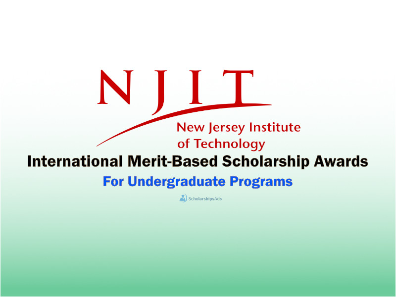 NJIT International Merit-Based Scholarships.
