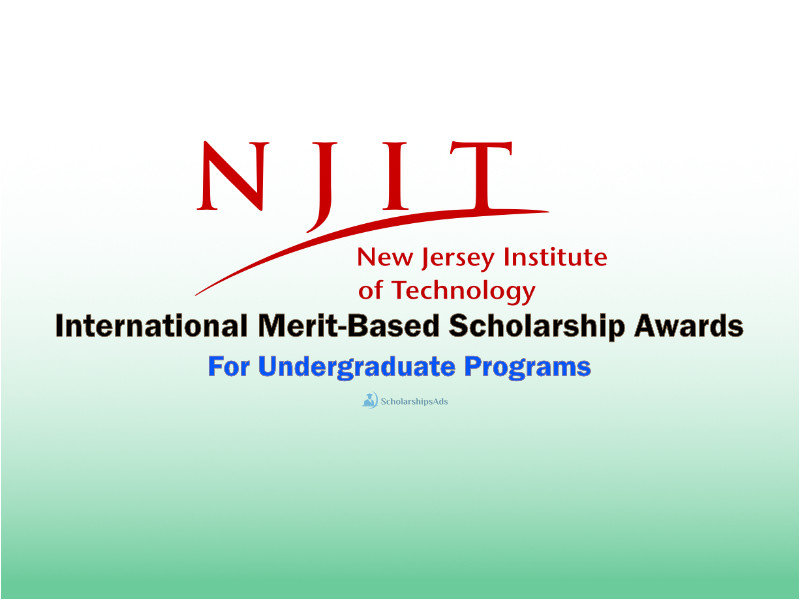 NJIT International Merit-Based Scholarship Awards, USA