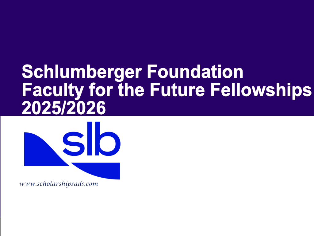 Schlumberger Foundation Faculty for the Future Fellowships 2025/2026