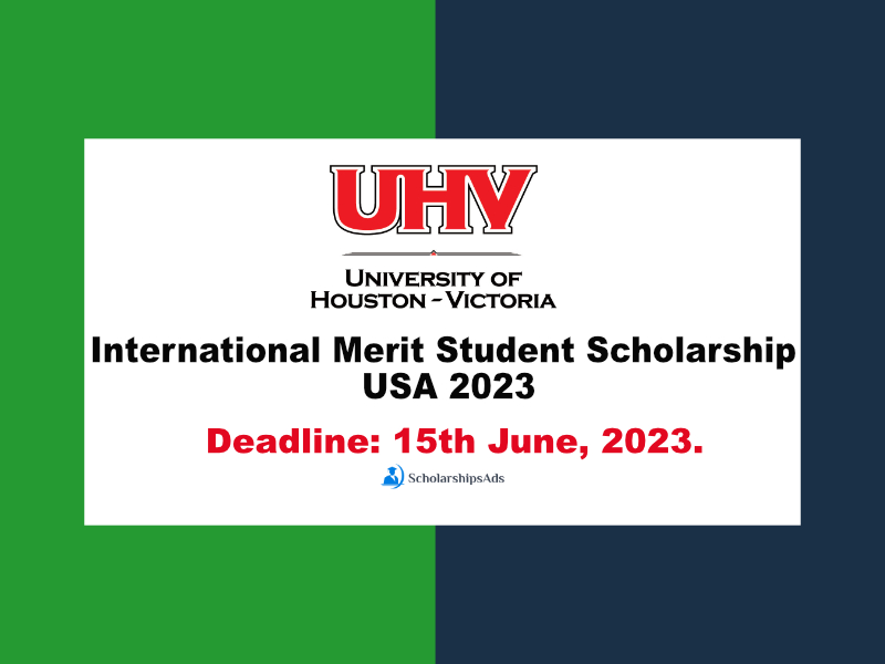  University of Houston USA International Merit Student Scholarships. 