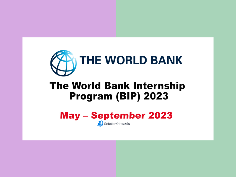  The World Bank Internship Program (BIP) 2023 