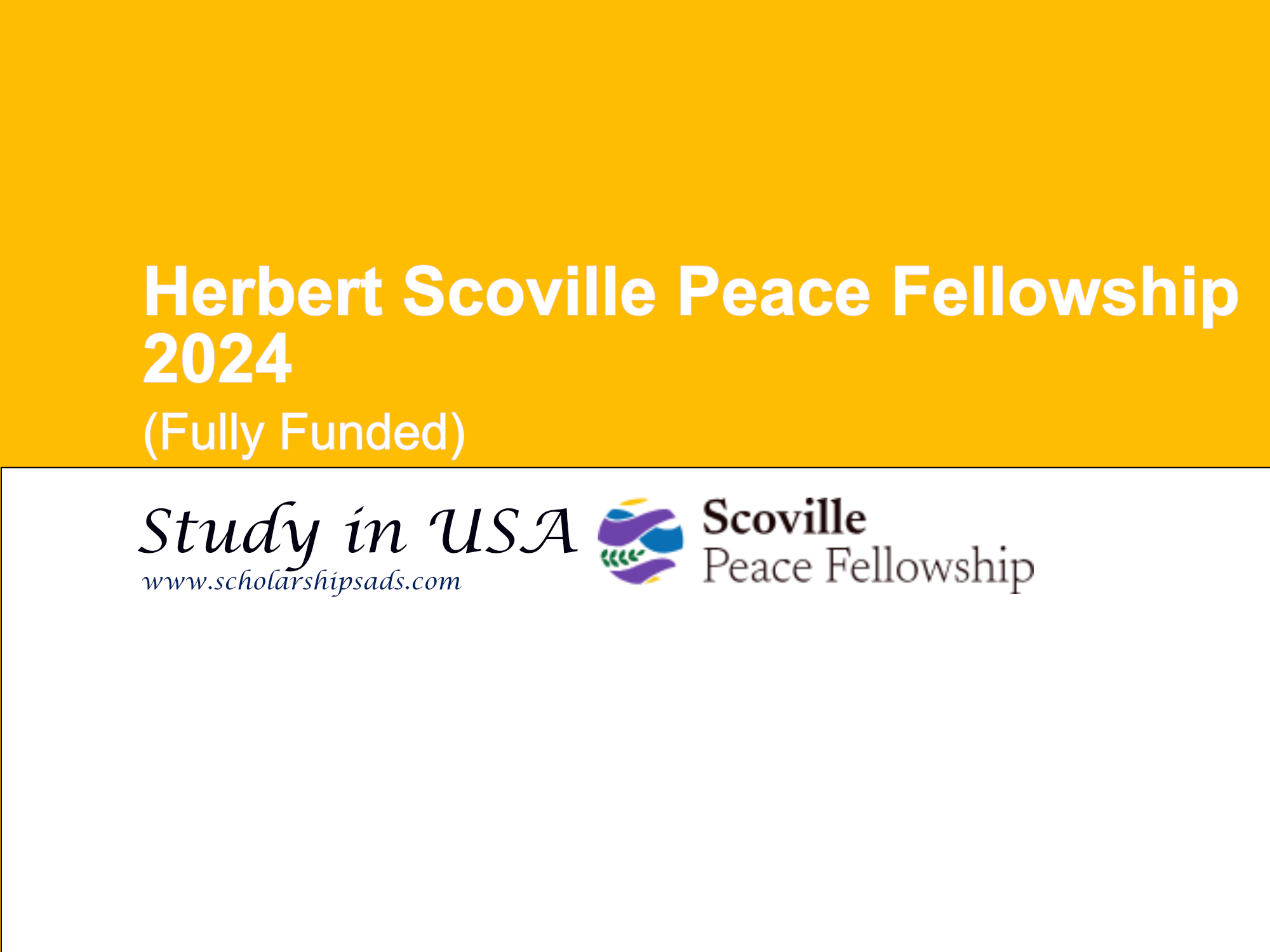 Herbert Scoville Peace Fellowship 2024, USA. (Fully Funded)