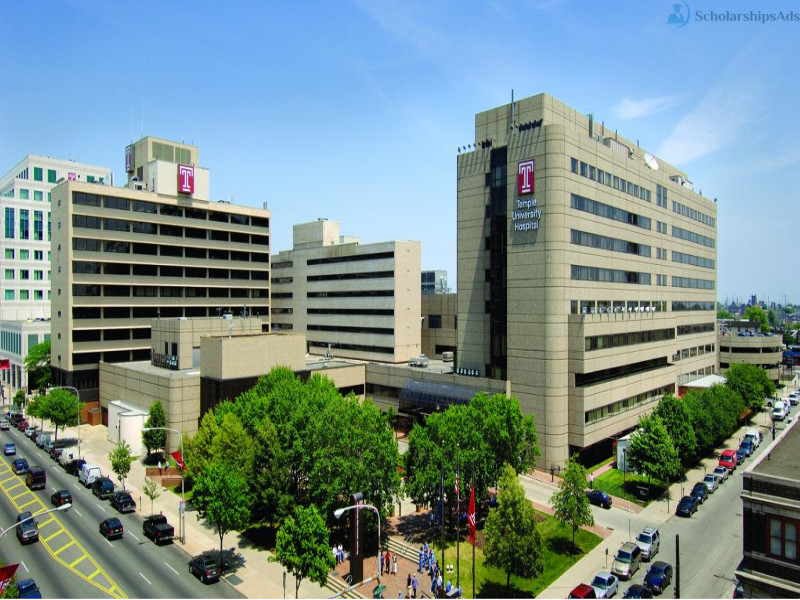 Temple University #WhyUS Campaign and Scholarship, USA 2022-23