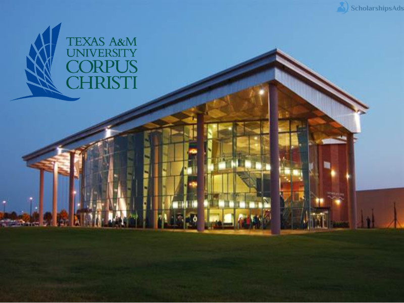 Texas A&M University International Impact, USA 2022-23